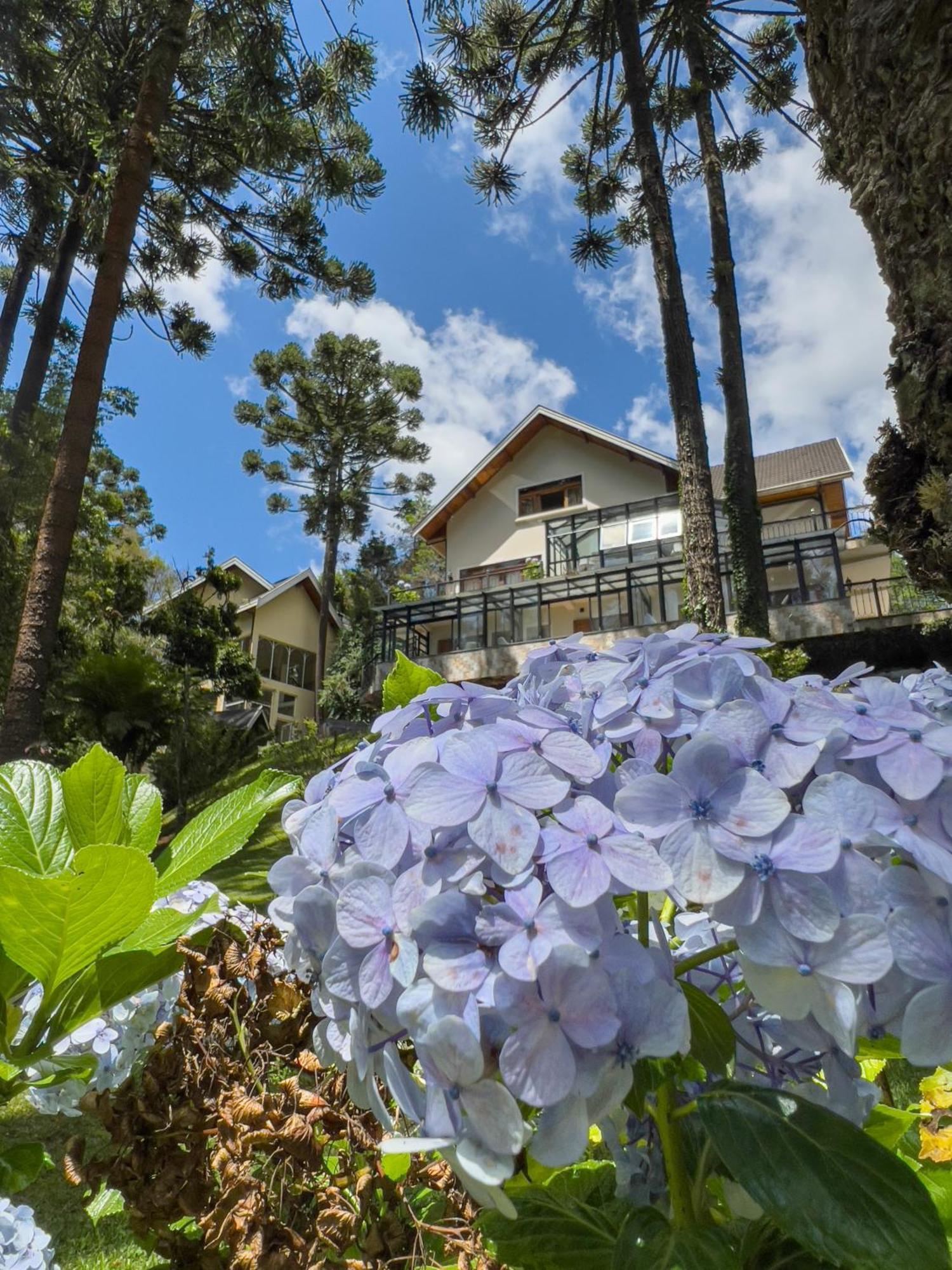 Araucaria Lodge Campos do Jordao Ngoại thất bức ảnh